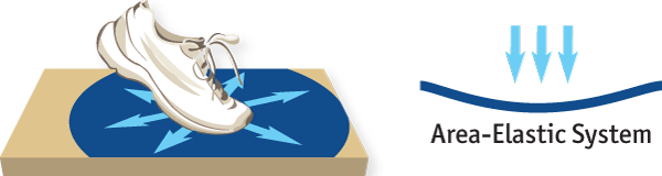 面積彈性 面積彈性