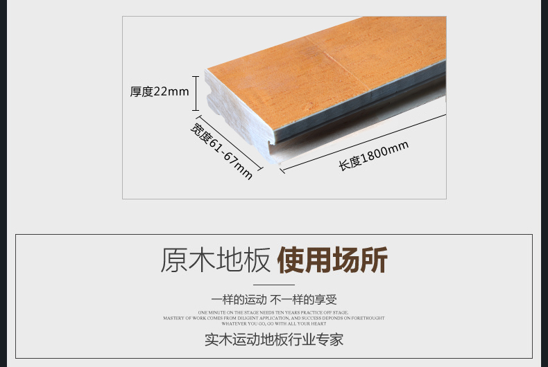 歐氏楓木運(yùn)動地板 歐氏楓木運(yùn)動地板