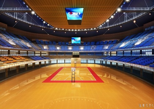 體育館室內球場木地板.jpg